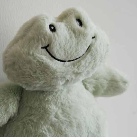 Happy Frog with Christmas Sweater & Scarf